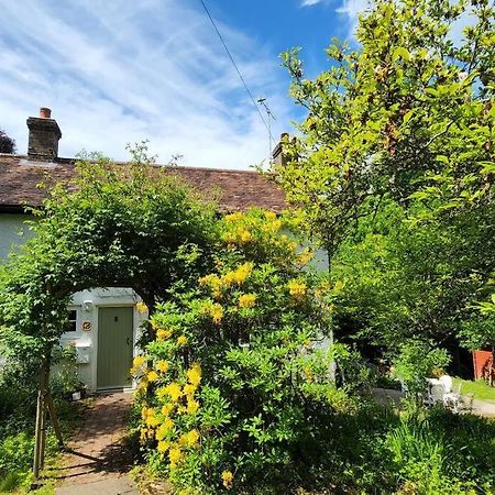 Ashdown Forest Character Cottage, 18Th Century Crowborough Exteriér fotografie
